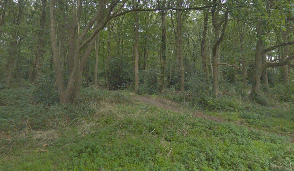Gemeentebos Heiloo