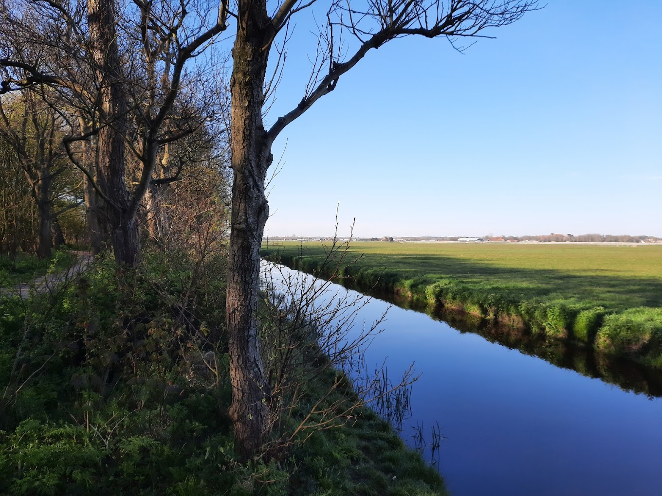 Park Zuiderneg