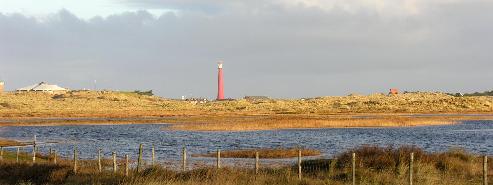 Winterwandeling door de Grafelijkheidsduinen bij Den Helder