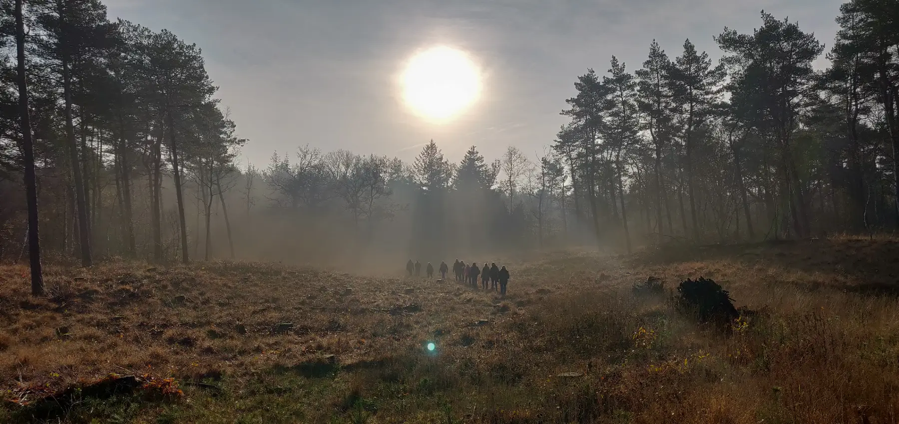 Groenevoornemens wandeling