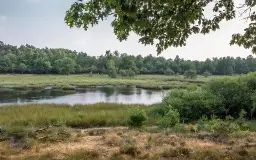 Wildwise Hoogveen Hike