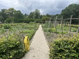 Open Moestuin dag Hoge Veluwe