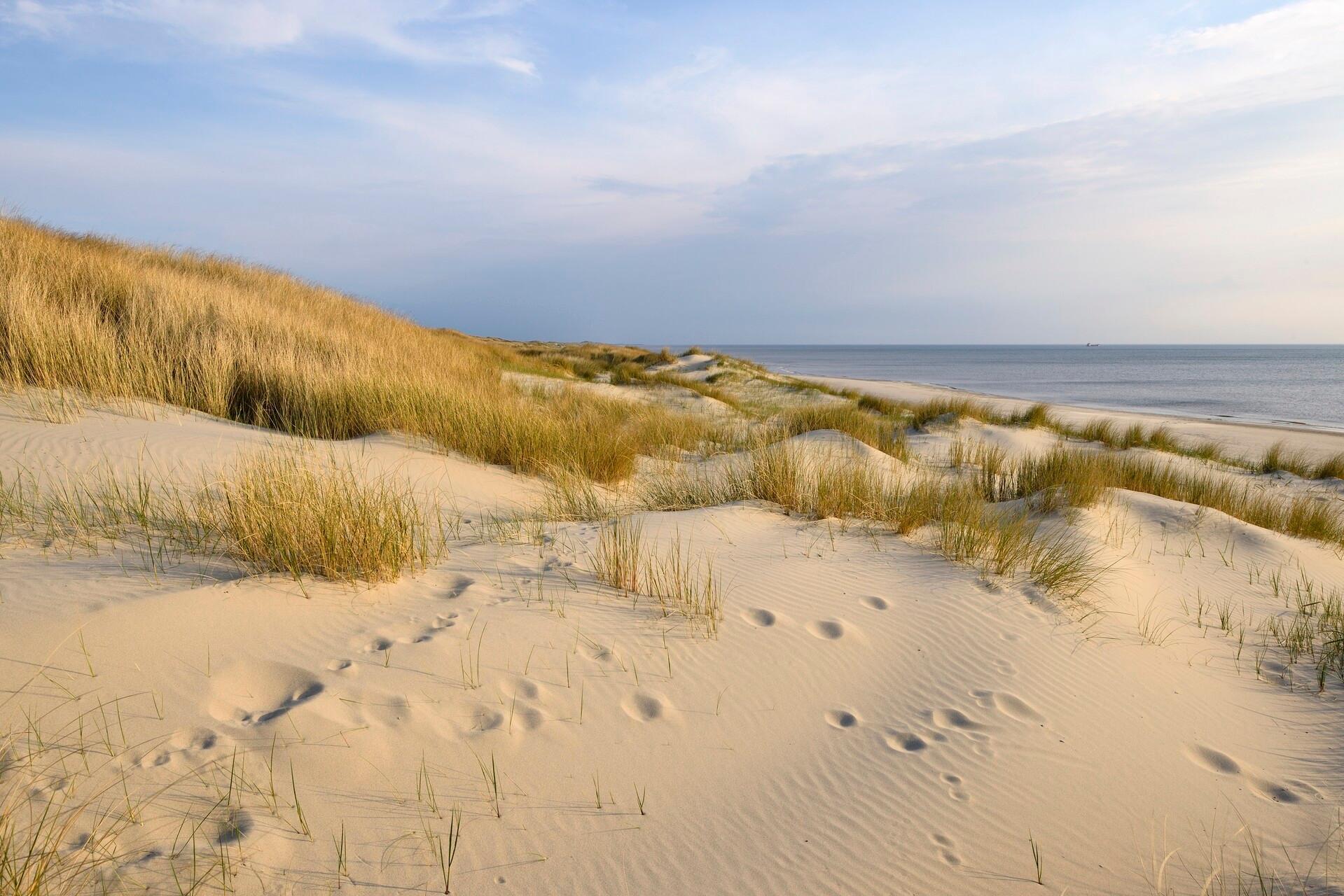 Uitwaaien door de Noordduinen bij Den Helder