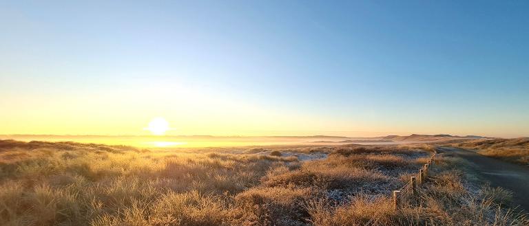 Frühmorgens Fotografieren in den Grafelijkheidsduinen