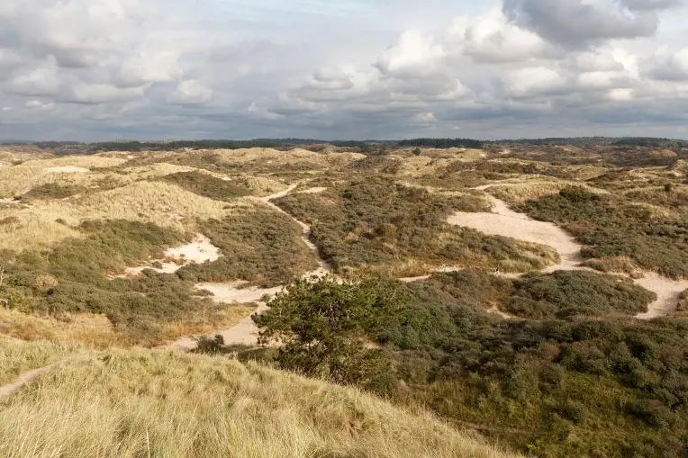 NPZK Noordduinen