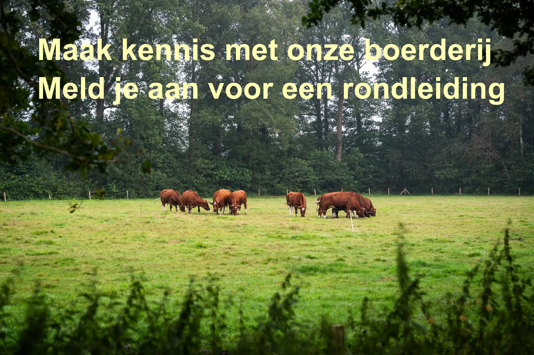 Rondleiding op Herenboerderij De Groote Modderkolk