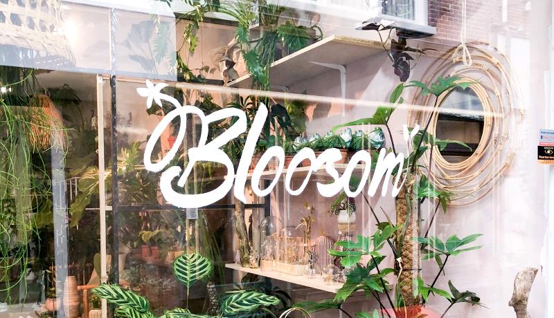 Bloosom