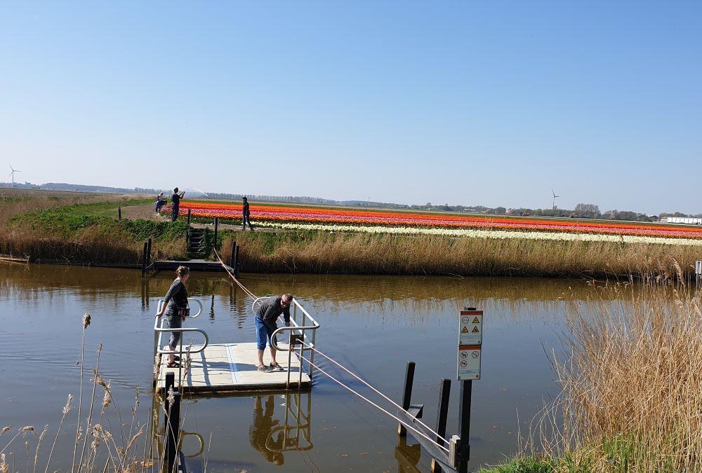 Paasexcursie met tulpenwandeling