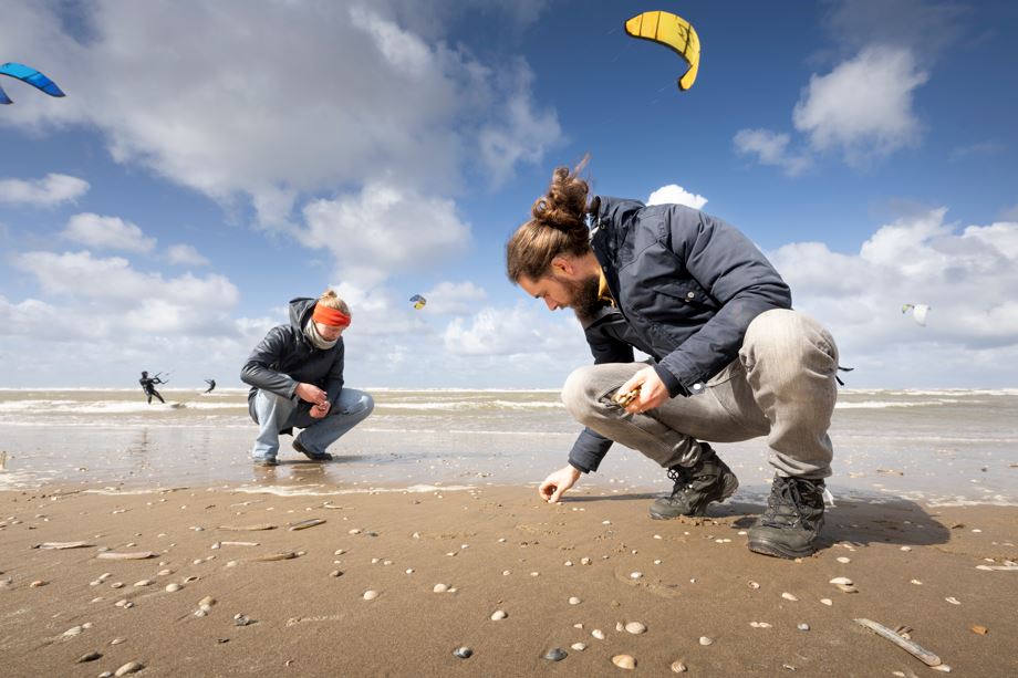 Schelpenteldag