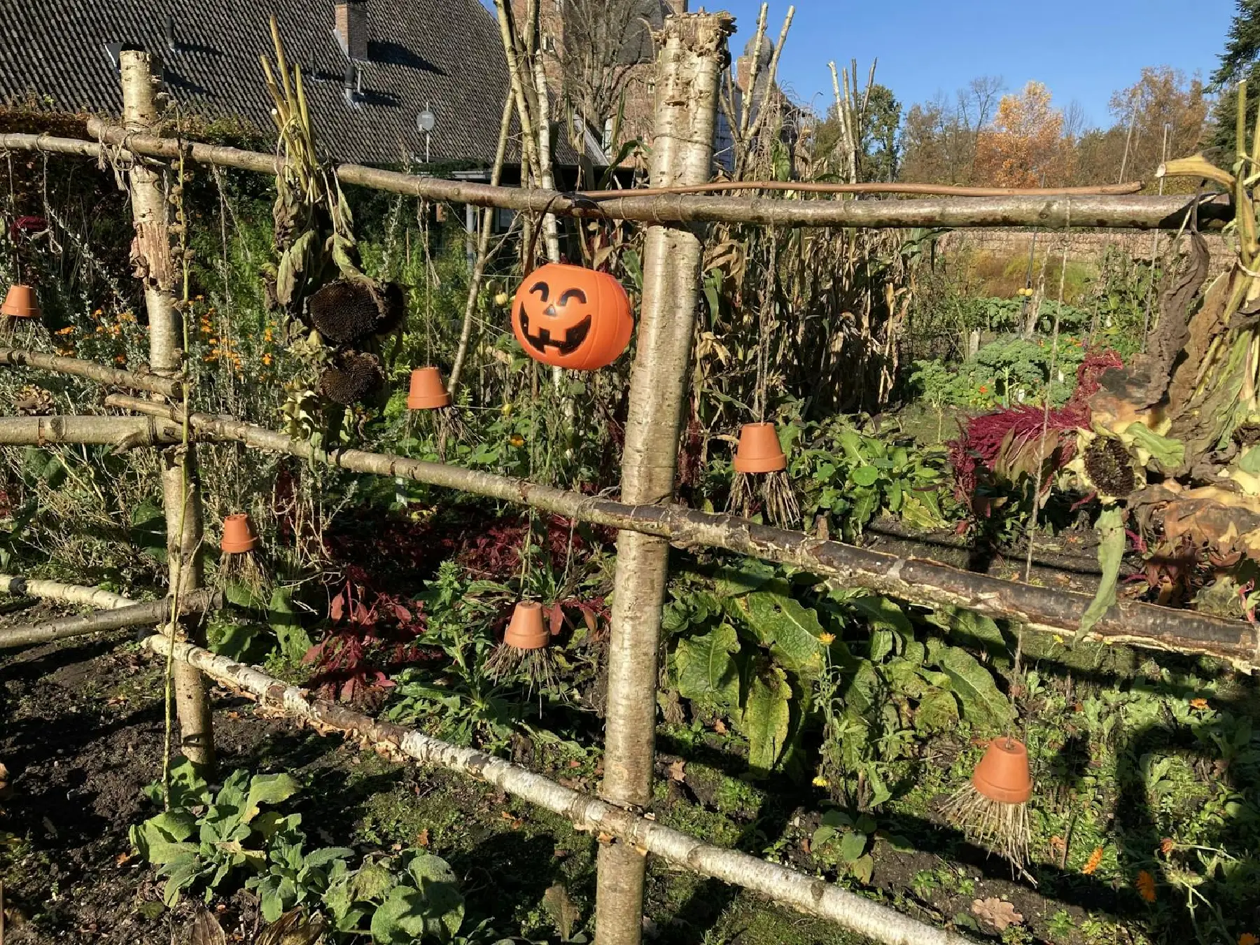 Herfstspeurtocht Kasteel Cannenburch