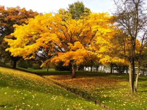 IVN Excursie Sprengenpark