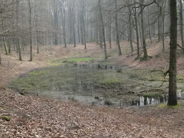 Fietsroute Solse Gat en Medusa