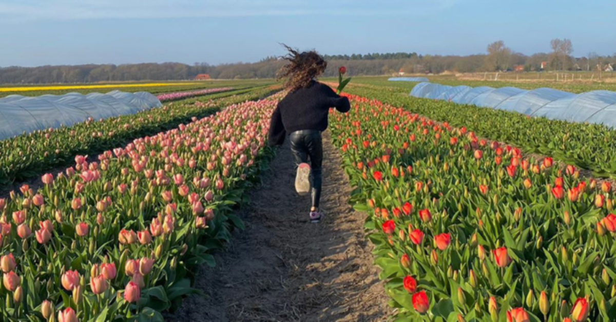 Pluktuin Bloemfontein Bergen