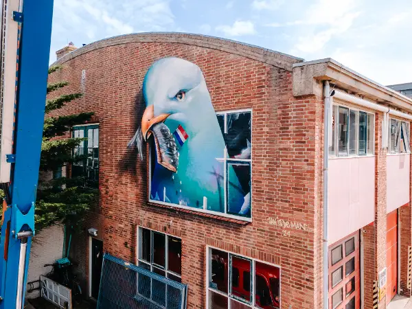 Street art - Janisdeman