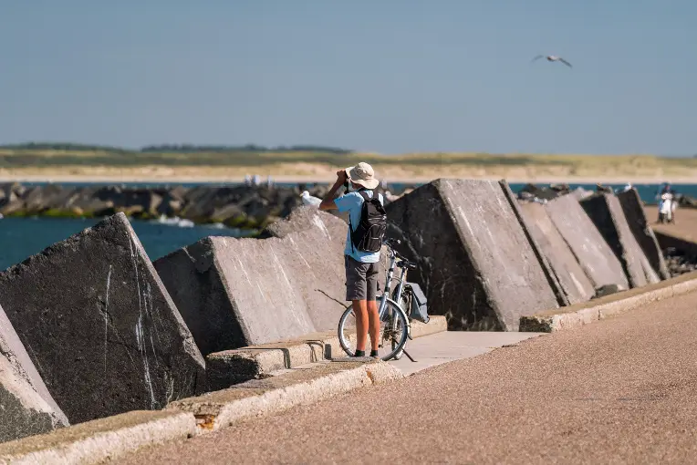 Vogels kijken op de zuidpier in IJmuiden