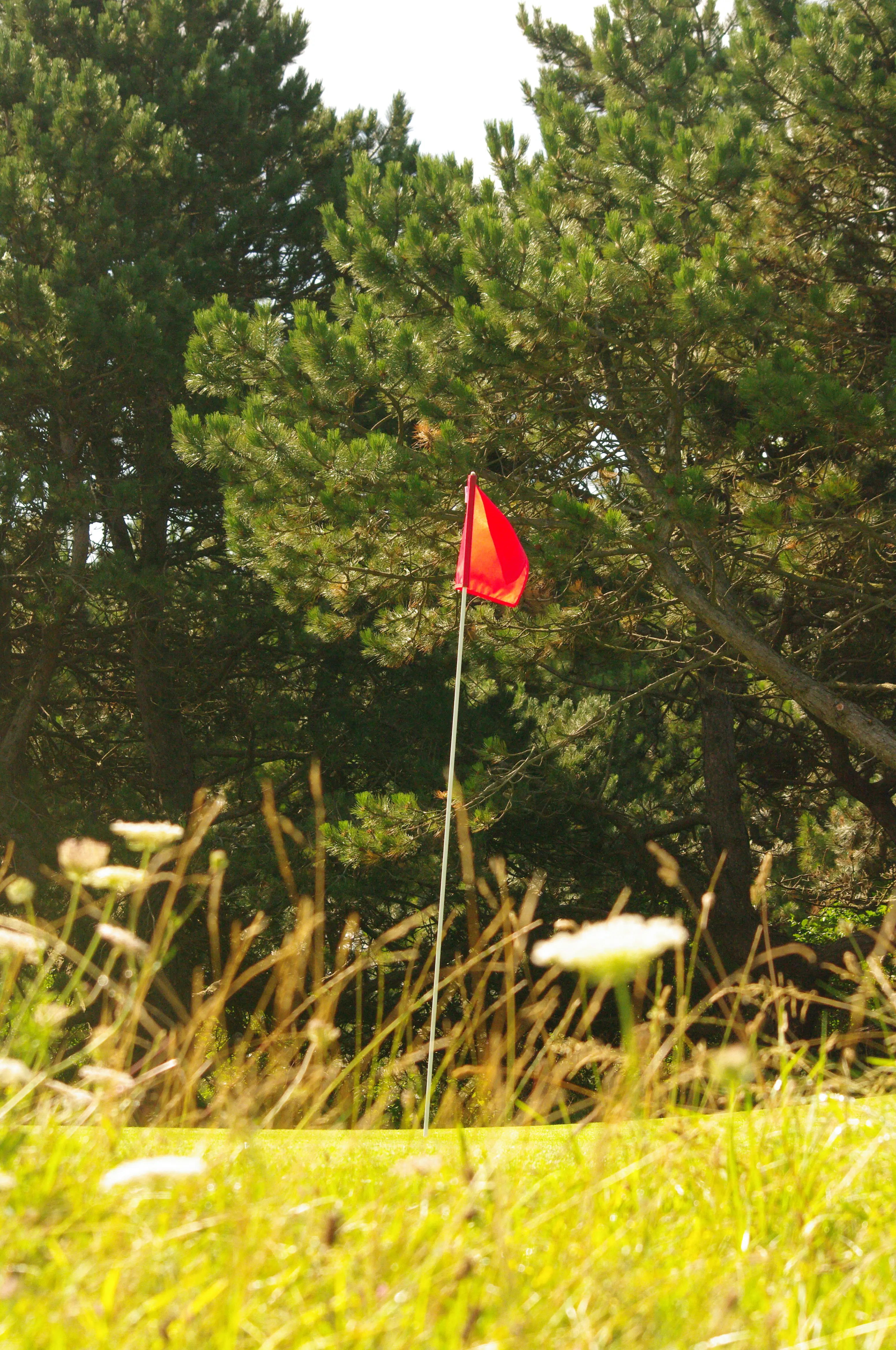Golfbaan The Dunes Zandvoort