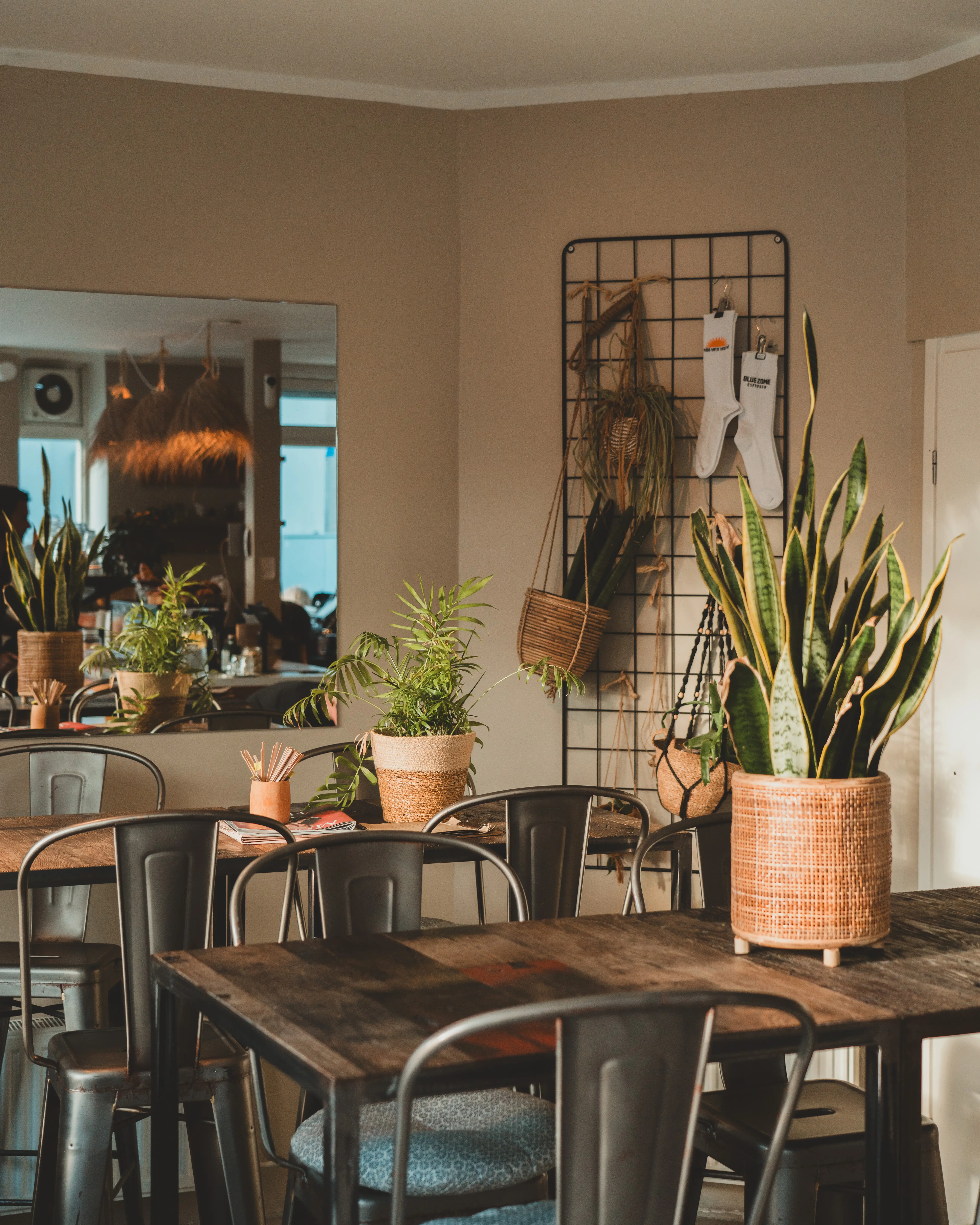 Blue Zone Espresso