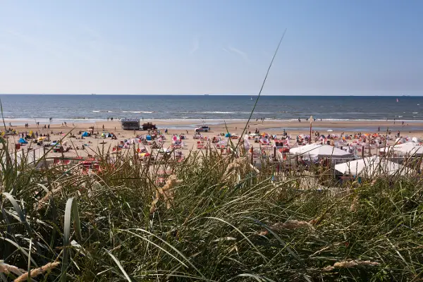 Overzicht van het strand van Zandvoort