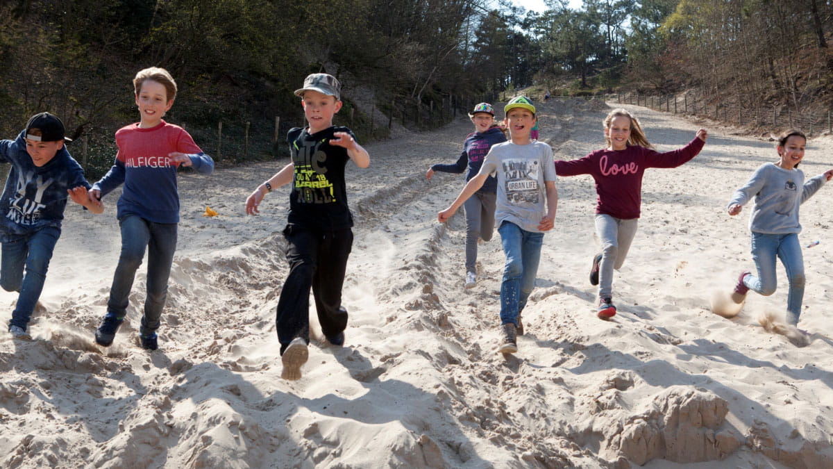 Buitendag in de Schoorlse Duinen 