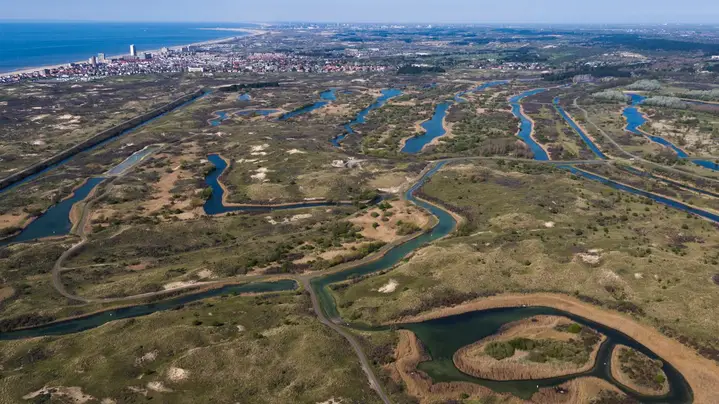 Amsterdamse Waterleidingduinen