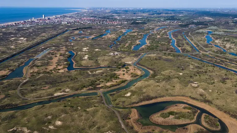 Amsterdamse Waterleidingduinen