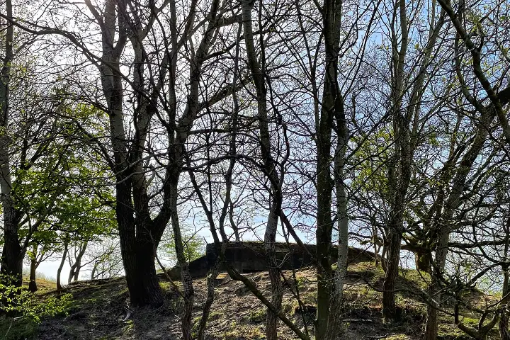 Bunker in de Amsterdamse Waterleidingduinen