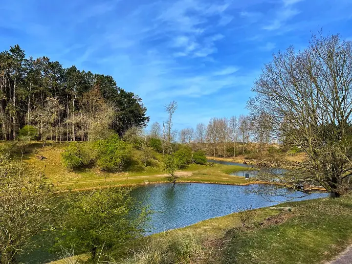 Van der Vlietkanaal - Amsterdamse Waterleidingduinen