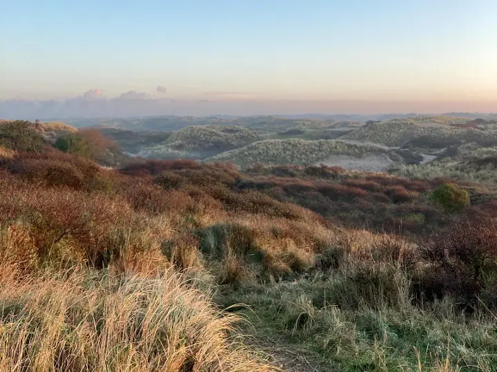 Uitkijkpunt Noordduinen