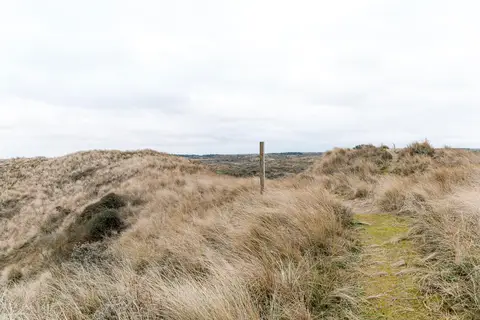 Amsterdamse Waterleidingduinen bij Zandvoort