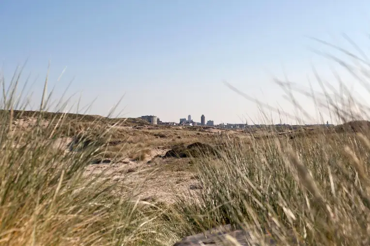 Zandvoortse skyline gezien vanaf de zuid duinen
