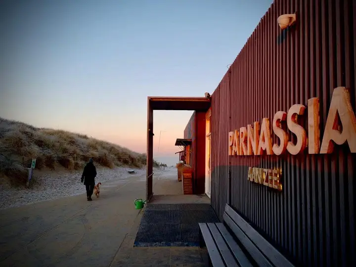 Parnassia aan Zee