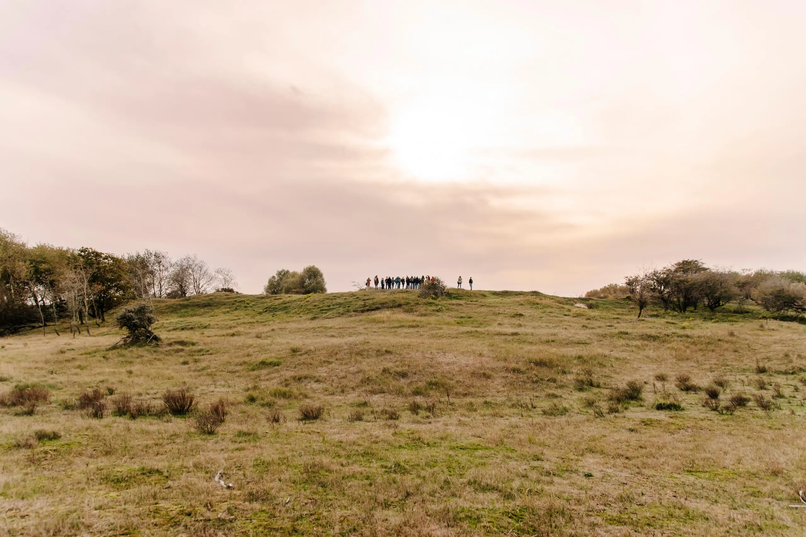 Amsterdamse Waterleidingduinen