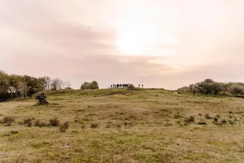 Amsterdamse Waterleidingduinen