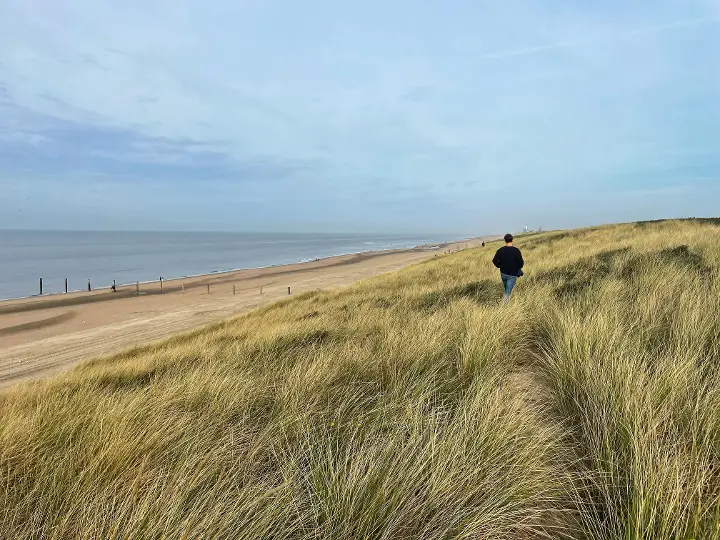 Zeereep bij Noordvoort