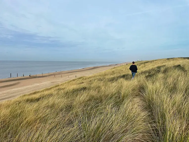 Zeereep bij Noordvoort