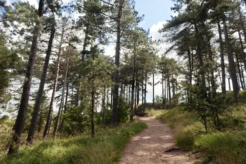 Nationaal Park Zuid-Kennemerland