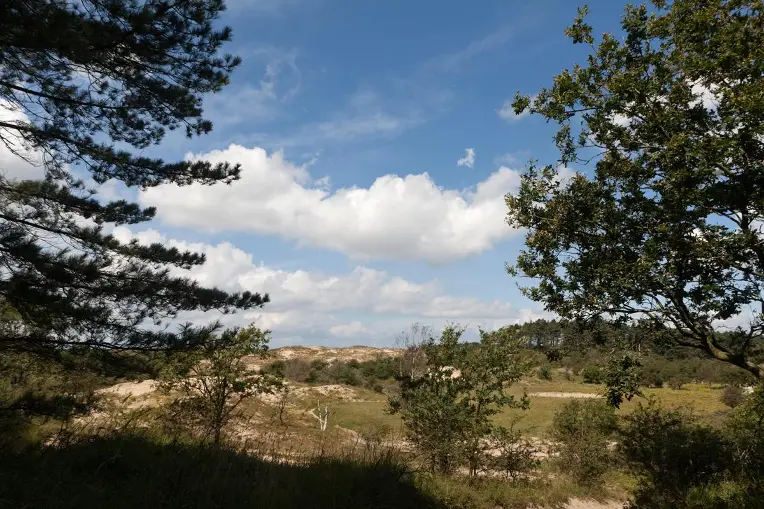 Konijnenberg - Nationaal Park Zuid-Kennemerland