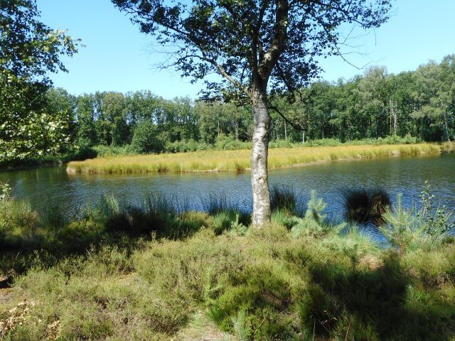 Groot Zeilmeer
