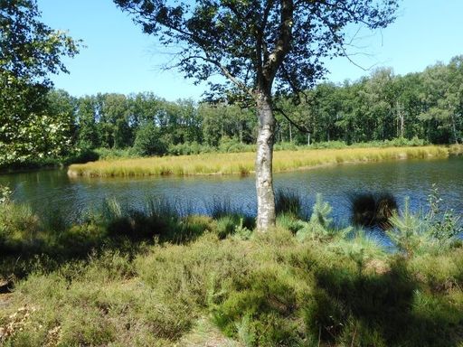 Groot Zeilmeer