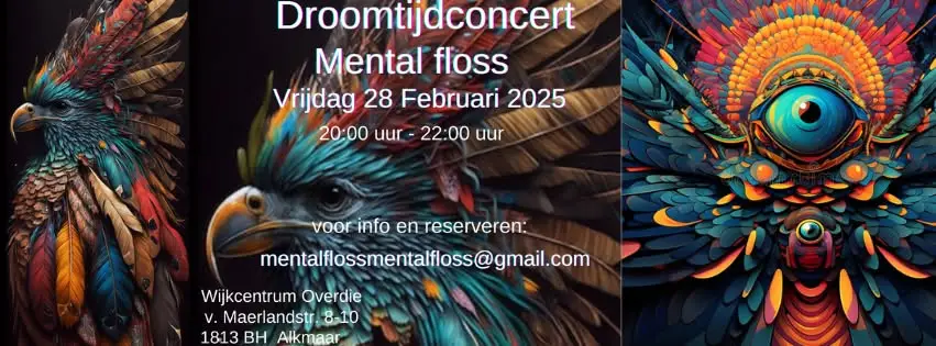 Droomtijdconcert Mental Floss