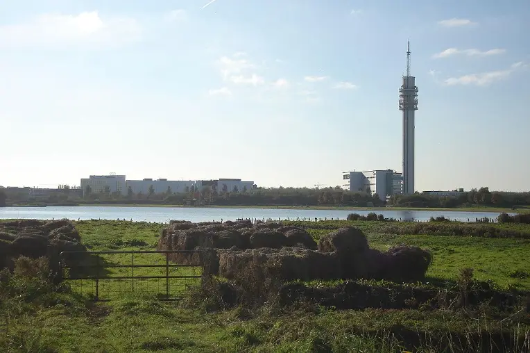 Natuurgebied Veerplas