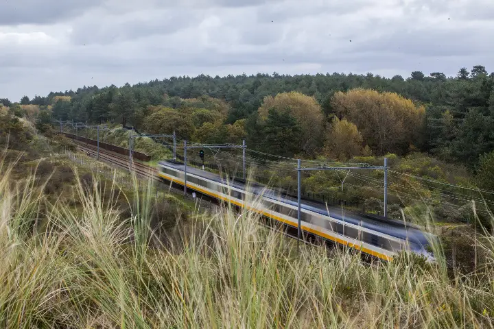 Trein duinen