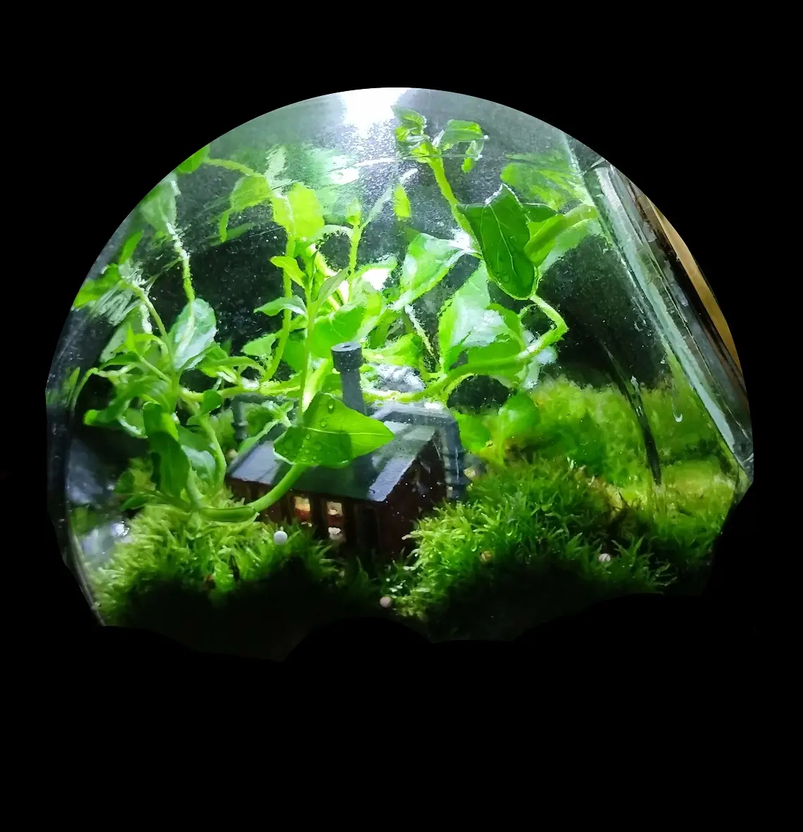 Be(ing) EARTH!