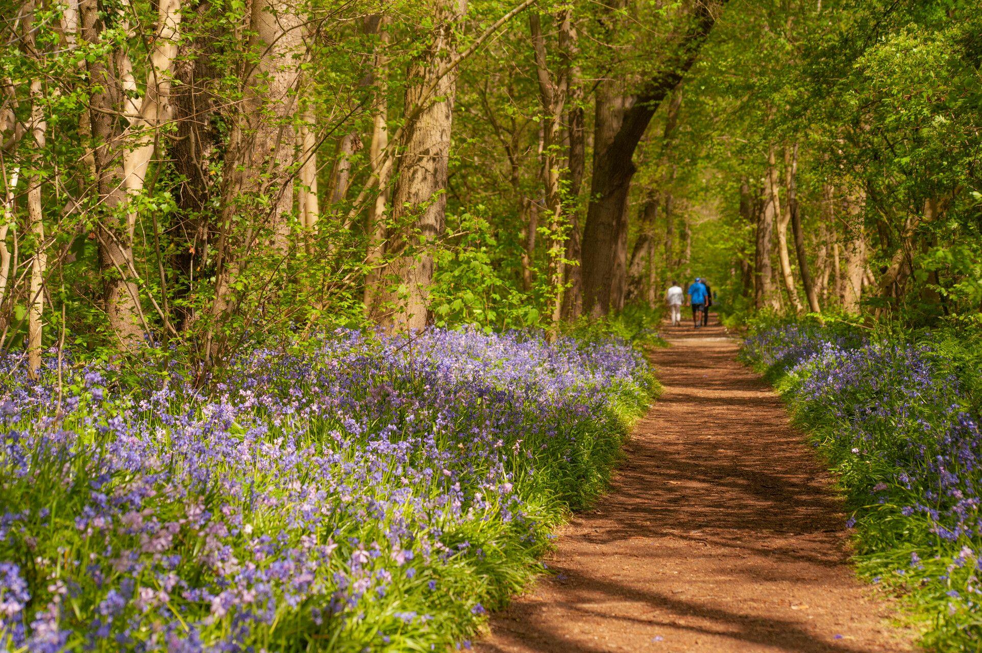 Open dag natuurgebied Wildrijk