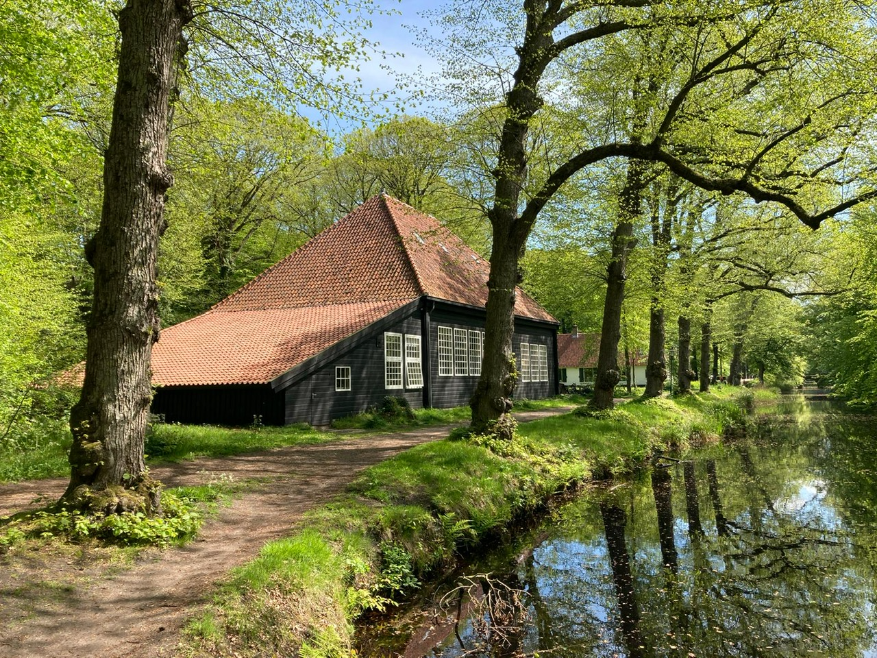 Overzicht Filmtheater Cinebergen 