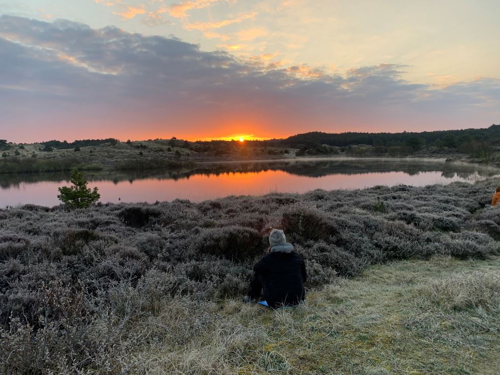 Viewingparty Schoorlse Duinen