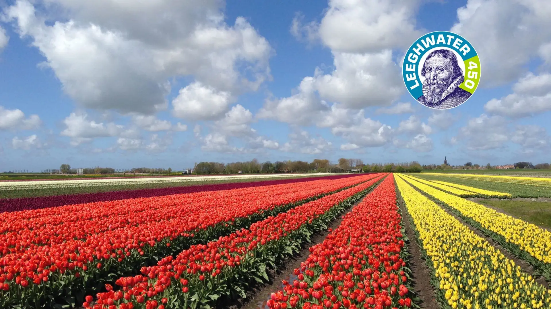 Beemster Tulpen Fair bij Kaasboerderij Groot