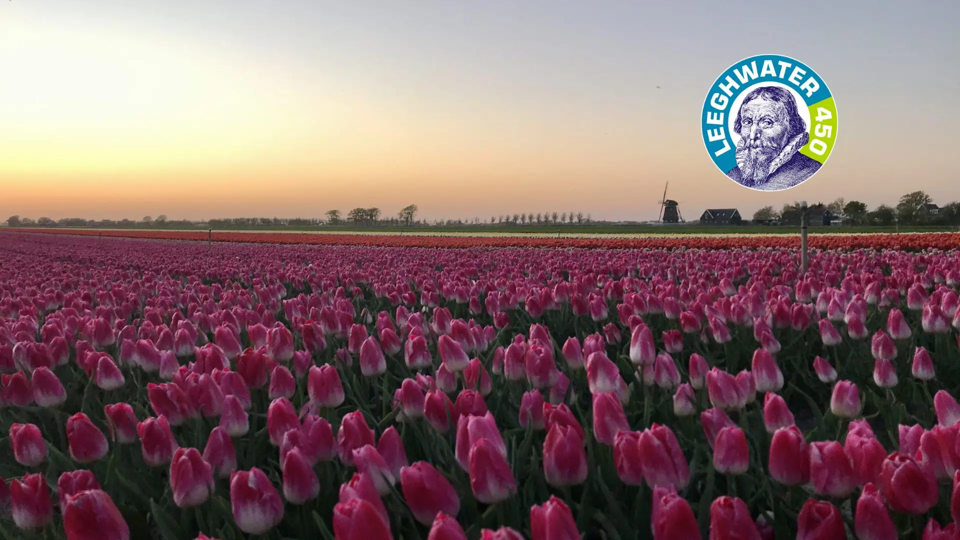 Beemster Tulpen Fair bij Nicolaashoeve