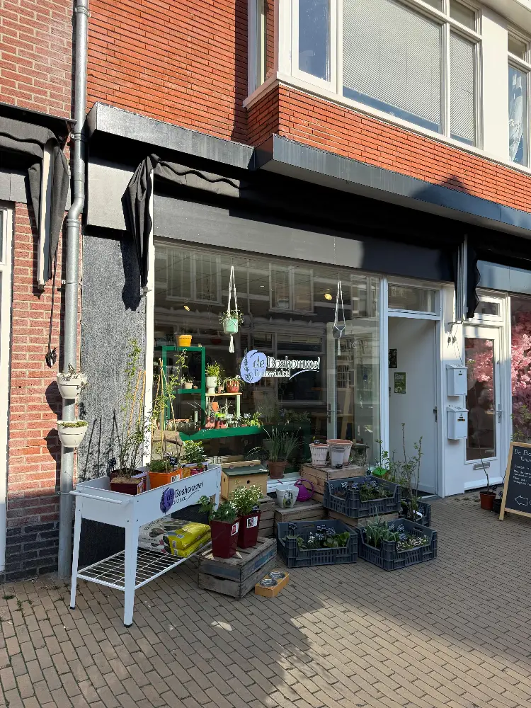 De Boshommel