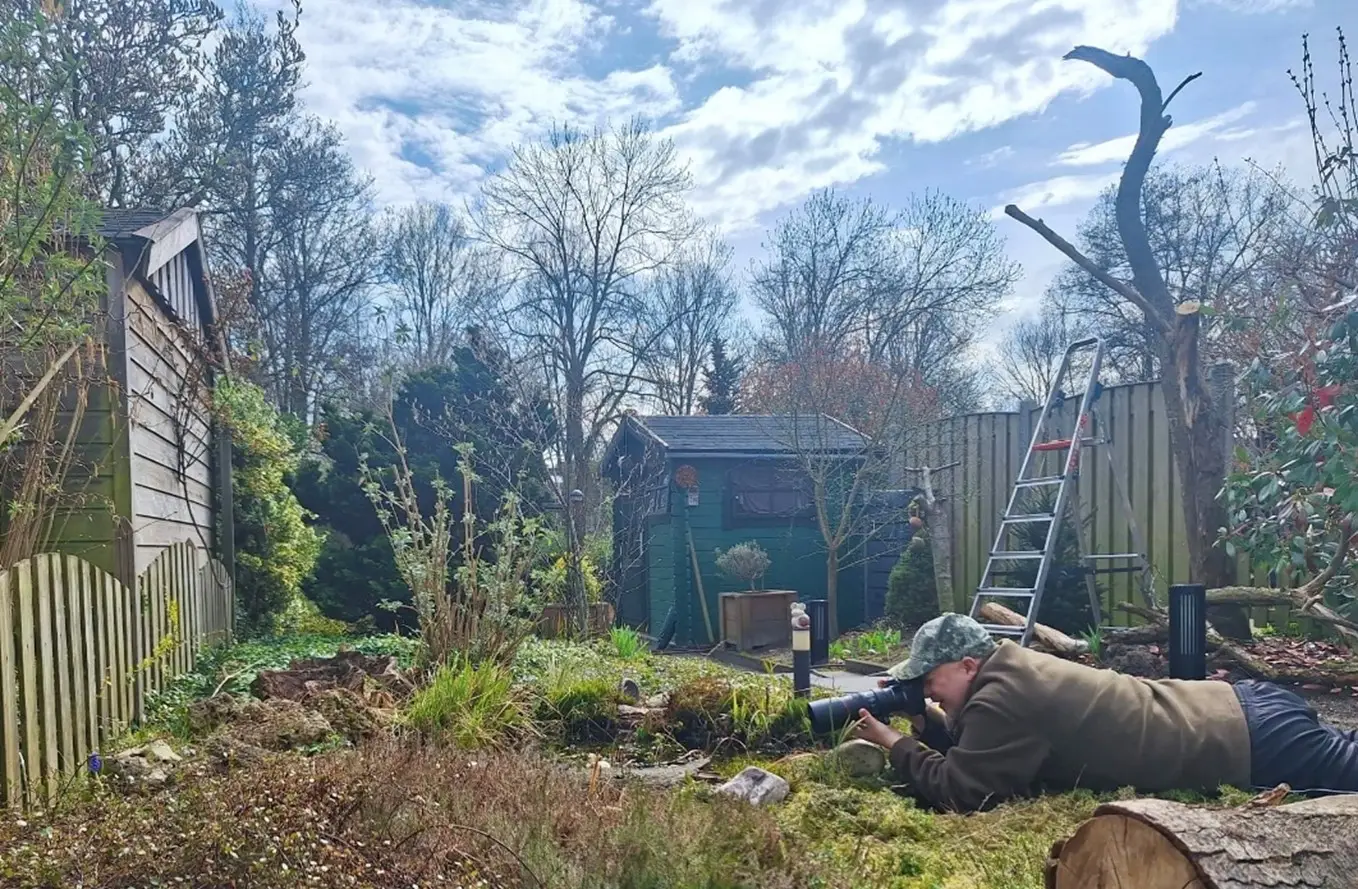 Bioblitz – Op fotosafari in de eigen tuin, balkon of park